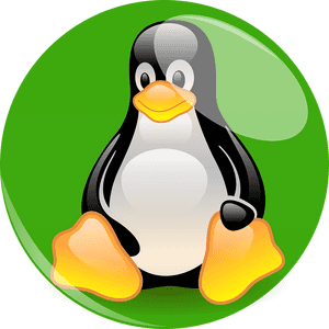 Green Penguin, Linux, Mascot, Cartoon Character, Fig, - Linux Pinguin, HD Png Download PNG image with transparent background