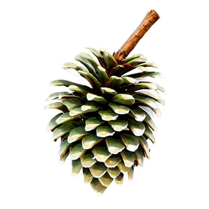 Green Pine Cone Png Kkv PNG Image