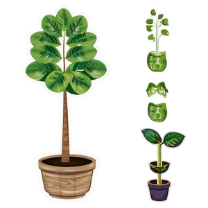 Green Plant Clipart Png 36 PNG Image