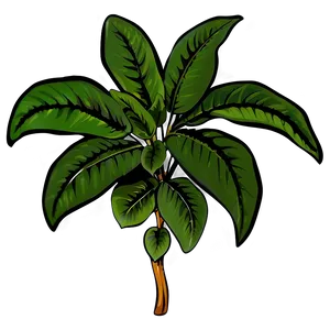 Green Plant Clipart Png 71 PNG Image