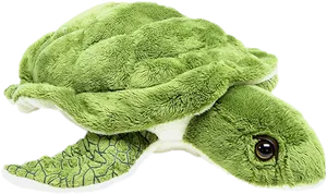 Green Plush Sea Turtle Toy PNG Image