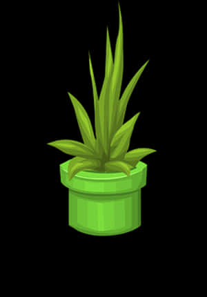 Green Potted Plant Illustration PNG with transparent background