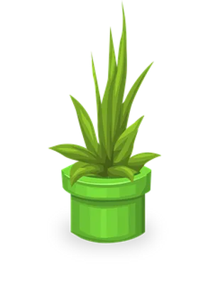 Green Potted Plant Illustration PNG Image