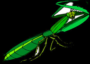 Green Praying Mantis Illustration PNG image with transparent background