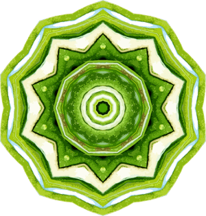 Rosemary Kaleidoscope 17 Clip Arts - Circle, HD Png Download PNG with transparent background