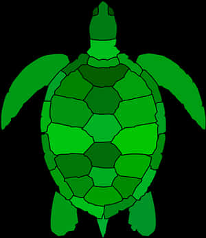 Green Sea Turtle Graphic PNG image with transparent background