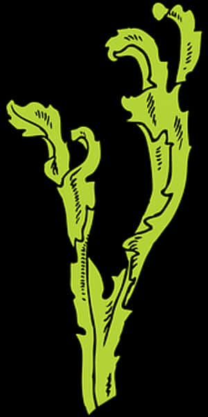 Green Seaweed Illustration PNG with transparent background
