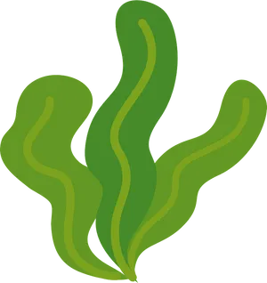 Green Seaweed Illustration PNG Image