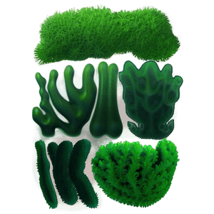 Green Seaweed Illustration PNG 37 PNG image with transparent background