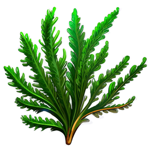 Green Seaweed Illustration PNG hug19 PNG image with transparent background