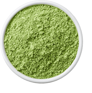 Seaweed Research, HD Png Download PNG with transparent background
