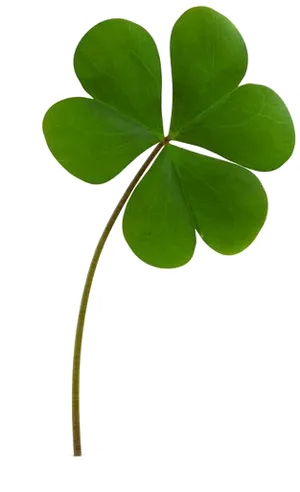 Green Shamrock Black Background PNG Image