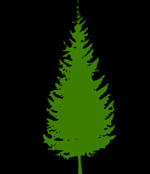 Green Silhouette Evergreen Tree PNG image with transparent background
