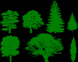 Green Silhouette Trees Collection PNG image with transparent background