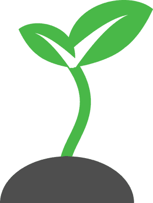Green Sprout Growth Graphic PNG image with transparent background