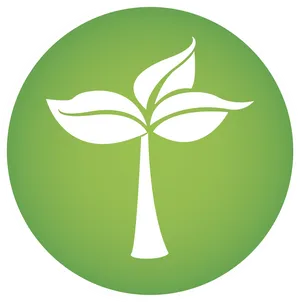 Green Sprout Icon PNG Image