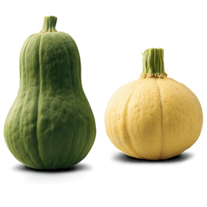 Green Squash PNG 29 PNG with transparent background