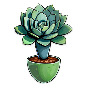 Green Succulent PNG 34 PNG image with transparent background