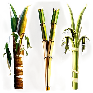 Green Sugarcane Stalk Png Kpt32 PNG Image