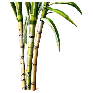 Green Sugarcane Stalk Png Wlr PNG Image