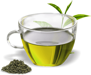 Green Tea Assam Tea Oolong Herbal Tea - Green Tea Cup Png, Transparent Png PNG image with transparent background