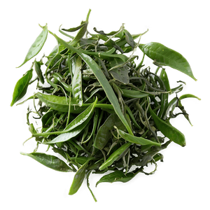 Green Tea Leaves PNG qmv14 PNG