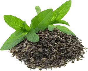 Green Tea Leavesand Mint.png PNG Image