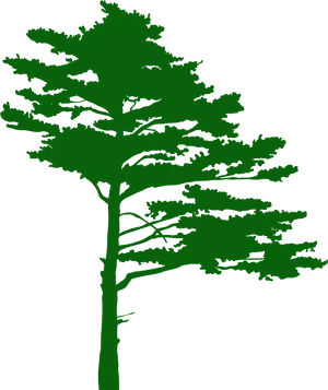 Green Tree Silhouette PNG Image