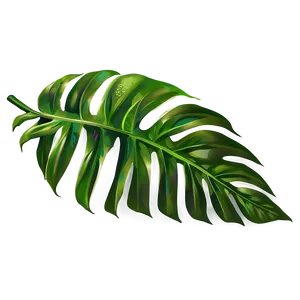 Green Tropical Leaf Illustration Png Kyq PNG Image