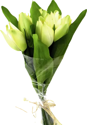 Green Tulip Bouquet PNG Image