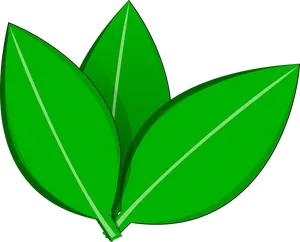 Green Vector Leaves Illustration PNG Image