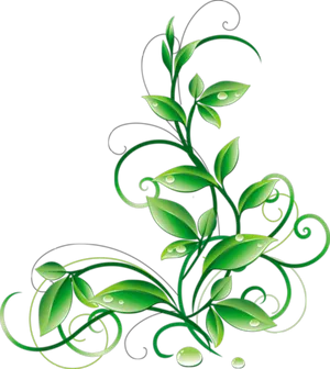 Green Vine Abstract Art PNG Image