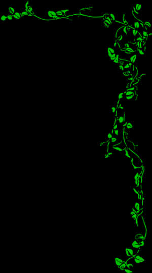 Green Vine Borders Graphic PNG