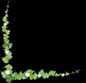 Green Vine Corner Decoration PNG