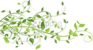 Green Vine Flourish Black Background PNG Image