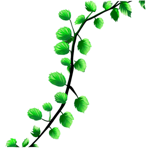 Green Vine Leaves Graphic PNG image with transparent background