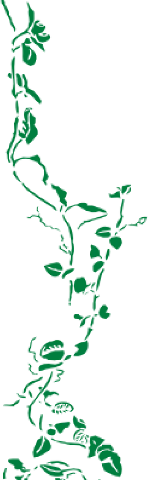 Green Vine Silhouette Vertical PNG Image