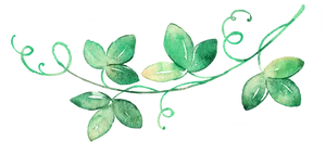 Green Vine Watercolor Divider PNG Image