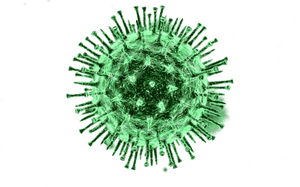 COVID-19 Virus Transparent Background PNG with transparent background