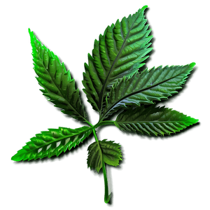 Green Weed Strain PNG 05032024 PNG image with transparent background