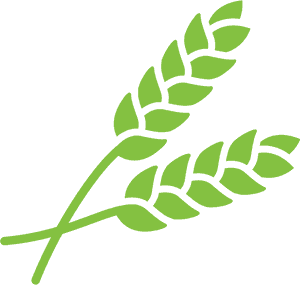 Crop Understand Grain Quality - Agriculture Crop Icon Png, Transparent Png PNG