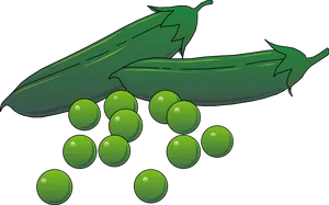 Green Zucchiniand Peas Illustration PNG Image