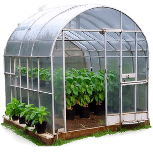 Greenhouse Farming Techniques PNG 84 PNG