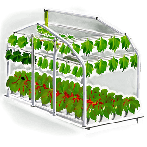 "Greenhouse Hydroponic System PNG" got PNG