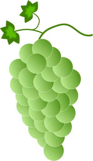 Greenwhite Grapes Clip Arts - Purple Grapes, HD Png Download PNG image with transparent background