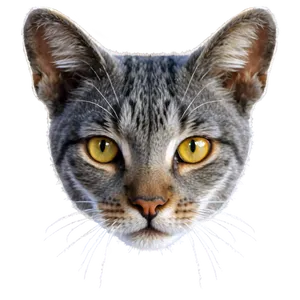 Grey Cat Face Png Fru88 PNG Image