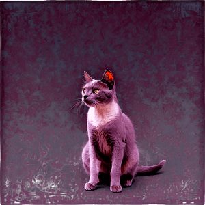 Grey Cat PNG ydx39 PNG