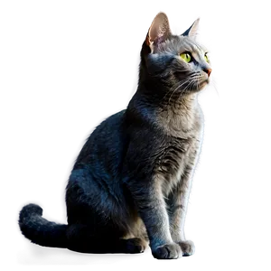 Grey Cat With Green Eyes Png Ara PNG Image