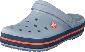 Grey Crocswith Red Blue Stripes PNG Image