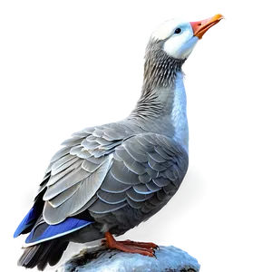 Grey Goose C PNG Image